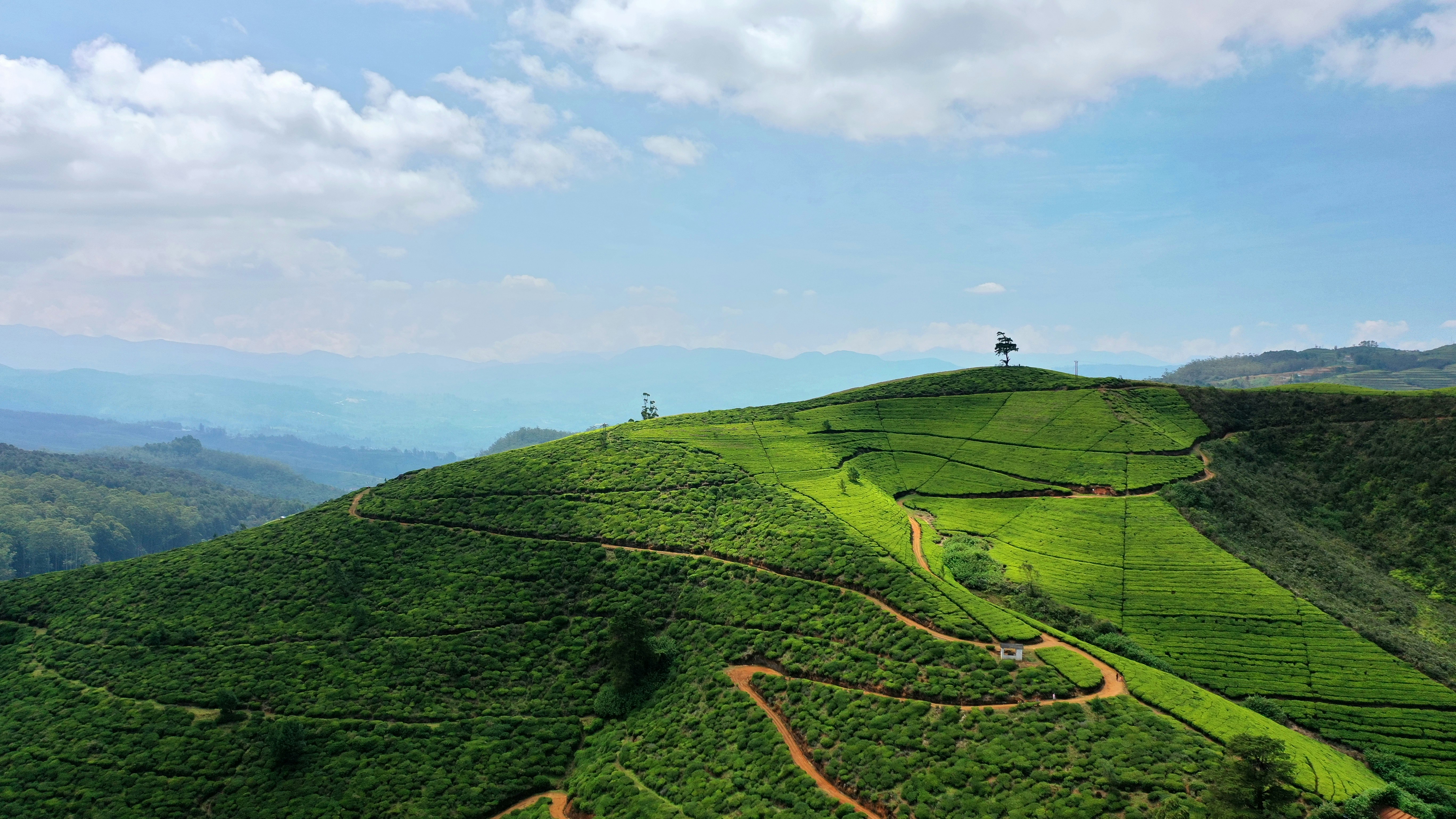 Katunayake Airport to Nuwara Eliya